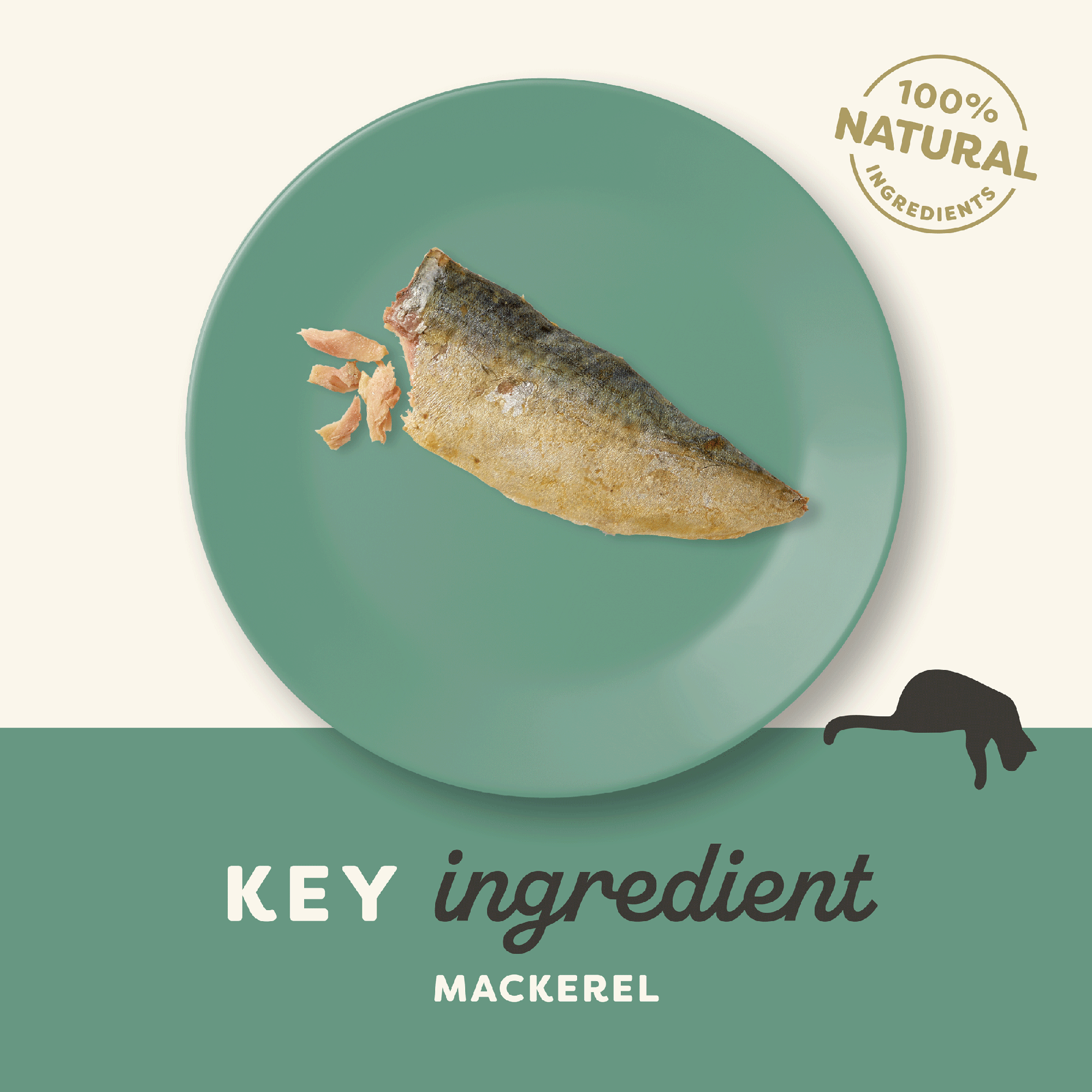 Applaws 100% Natural Whole Mackerel Loin Cat Treat - 30 g